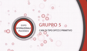 Expo Internazionale Piacenza 2016