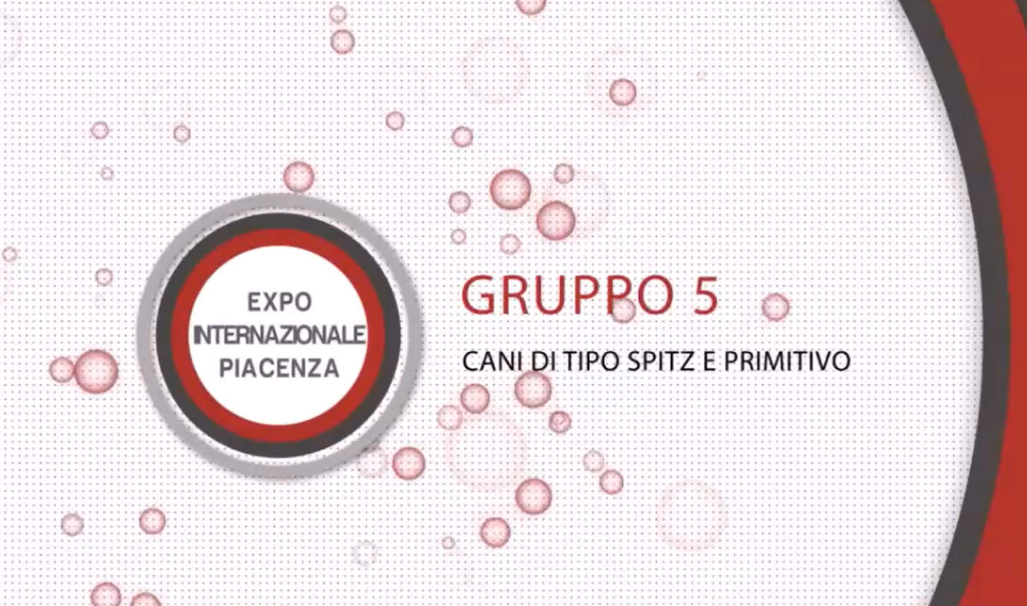 Expo Internazionale Piacenza 2016